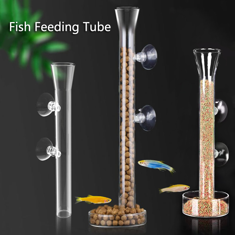 Meal Prep Glass - Kính Bể Cá Ống Tiếp Nguyên