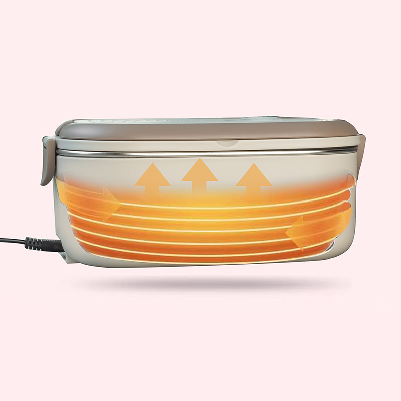 220V 110V Electric Lunch Box S - đánh giá và giá Meal Prep Tupperware